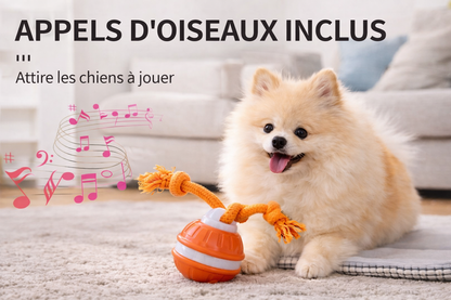Balle Magique™ pour Chien