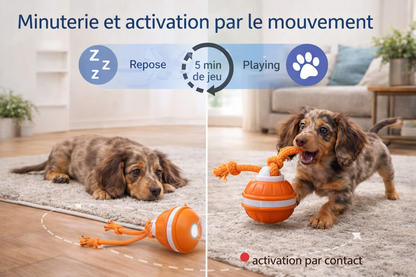 Balle Magique™ pour Chien
