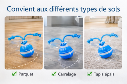 Balle Magique™ pour Chien
